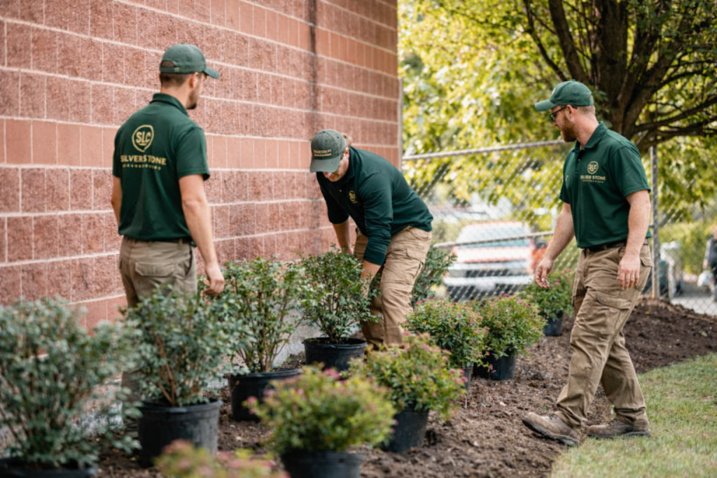 Professional landscapers installing new shrubs and greenery for commercial property landscaping